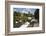 Swans Beside the River Severn and Worcester Cathedral, Worcester, Worcestershire, England-Stuart Black-Framed Photographic Print