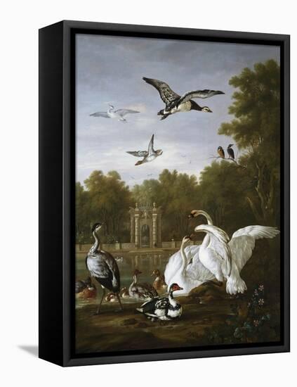 Swans, Ducks and Other Birds in a Park-Pieter Casteels-Framed Premier Image Canvas