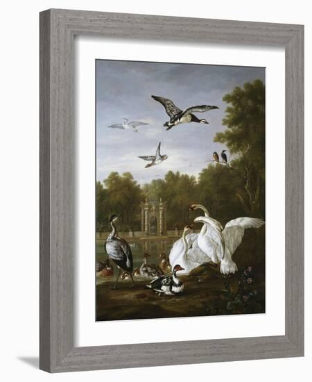 Swans, Ducks and Other Birds in a Park-Pieter Casteels-Framed Giclee Print