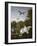 Swans, Ducks and Other Birds in a Park-Pieter Casteels-Framed Giclee Print