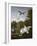 Swans, Ducks and Other Birds in a Park-Pieter Casteels-Framed Giclee Print
