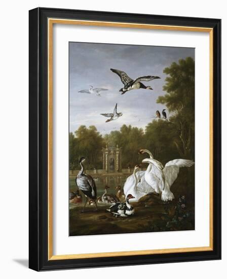 Swans, Ducks and Other Birds in a Park-Pieter Casteels-Framed Giclee Print