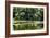 Swans I-Alan Hausenflock-Framed Photographic Print