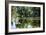 Swans II-Alan Hausenflock-Framed Photographic Print