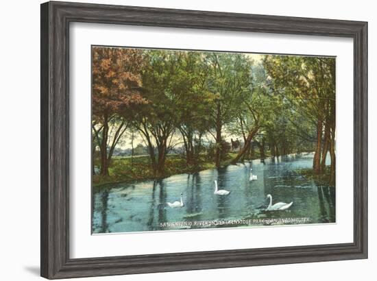 Swans in Brackenridge Park, San Antonio, Texas-null-Framed Art Print