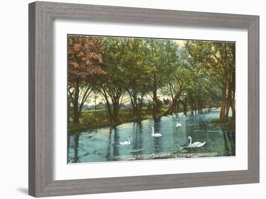 Swans in Brackenridge Park, San Antonio, Texas-null-Framed Art Print