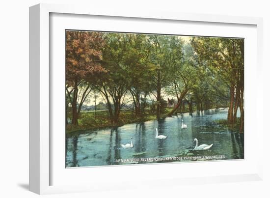 Swans in Brackenridge Park, San Antonio, Texas-null-Framed Art Print