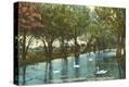 Stretched Canvas Print