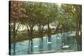 Stretched Canvas Print