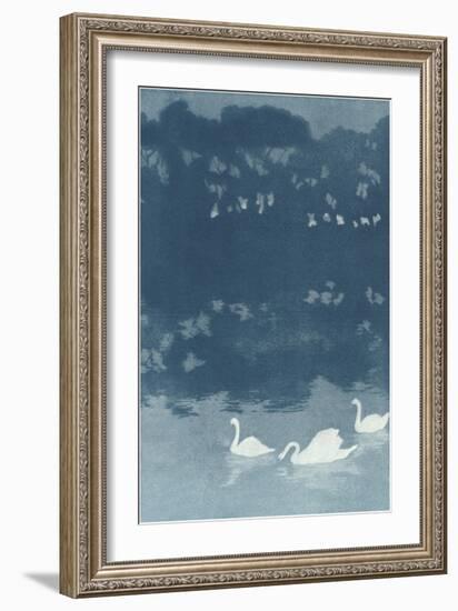 Swans in Dusk-null-Framed Art Print