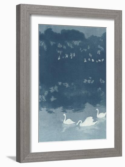 Swans in Dusk-null-Framed Art Print