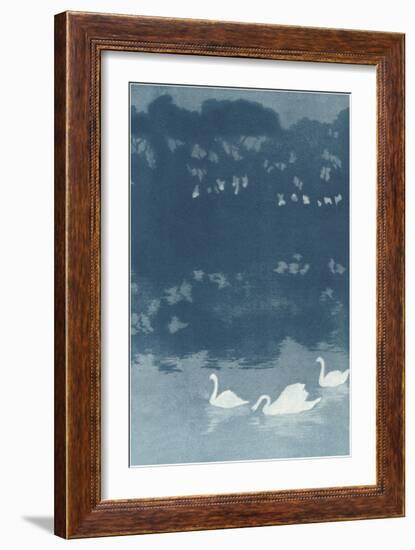 Swans in Dusk-null-Framed Art Print