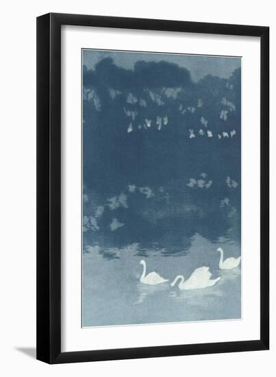 Swans in Dusk-null-Framed Art Print