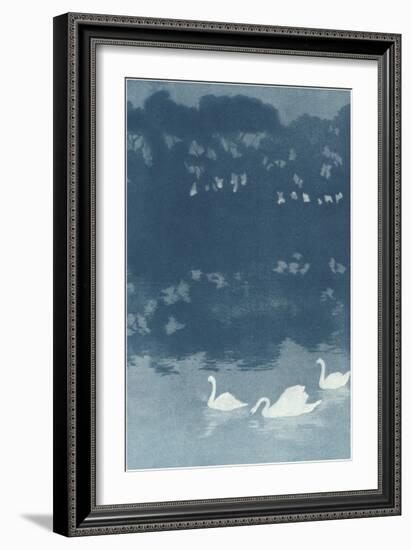 Swans in Dusk-null-Framed Art Print
