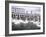 Swans in Front of the Alster Arcades in the Altstadt (Old Town), Hamburg, Germany-Yadid Levy-Framed Photographic Print