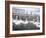 Swans in Front of the Alster Arcades in the Altstadt (Old Town), Hamburg, Germany-Yadid Levy-Framed Photographic Print