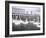 Swans in Front of the Alster Arcades in the Altstadt (Old Town), Hamburg, Germany-Yadid Levy-Framed Photographic Print