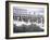 Swans in Front of the Alster Arcades in the Altstadt (Old Town), Hamburg, Germany-Yadid Levy-Framed Photographic Print