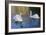 Swans in Keukenhof Gardens-Anna Miller-Framed Photographic Print