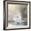 Swans in Mist-Julia Purinton-Framed Art Print