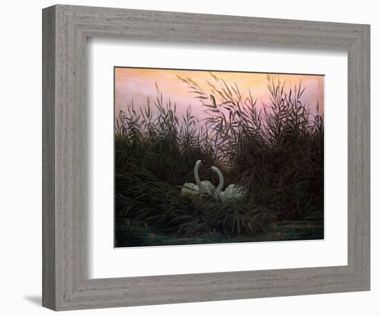 Swans in the Reeds, C1794-C1831-Caspar David Friedrich-Framed Giclee Print