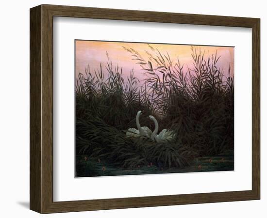 Swans in the Reeds, C1794-C1831-Caspar David Friedrich-Framed Giclee Print