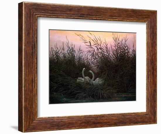 Swans in the Reeds, C1794-C1831-Caspar David Friedrich-Framed Giclee Print