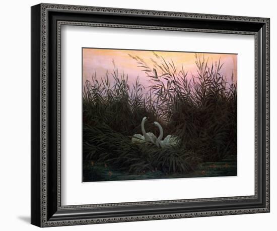 Swans in the Reeds, C1794-C1831-Caspar David Friedrich-Framed Giclee Print