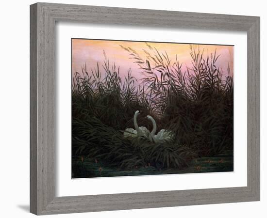 Swans in the Reeds, C1794-C1831-Caspar David Friedrich-Framed Giclee Print