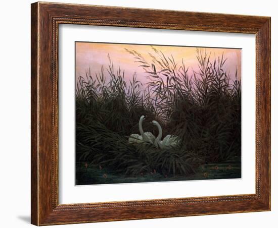 Swans in the Reeds, C1794-C1831-Caspar David Friedrich-Framed Giclee Print