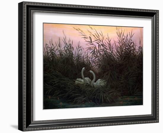 Swans in the Reeds, C1794-C1831-Caspar David Friedrich-Framed Giclee Print