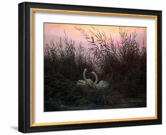 Swans in the Reeds, C1794-C1831-Caspar David Friedrich-Framed Giclee Print