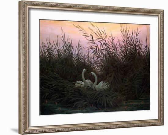 Swans in the Reeds, C1794-C1831-Caspar David Friedrich-Framed Giclee Print