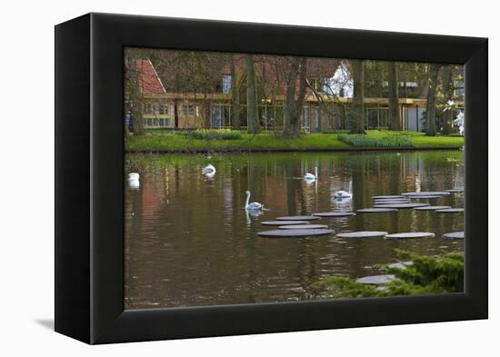 Swans on a Lake in Keukenhof Gardens-Anna Miller-Framed Premier Image Canvas