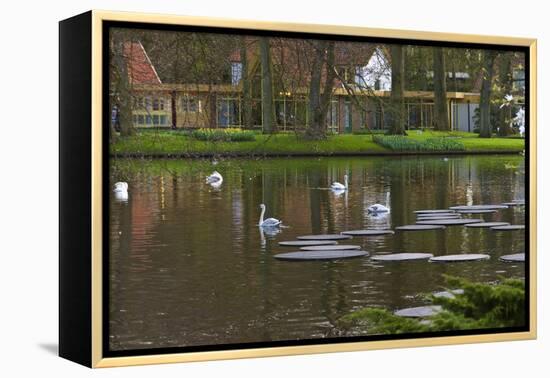 Swans on a Lake in Keukenhof Gardens-Anna Miller-Framed Premier Image Canvas