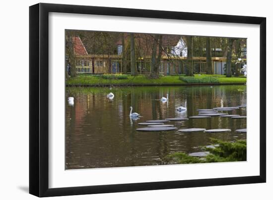 Swans on a Lake in Keukenhof Gardens-Anna Miller-Framed Photographic Print