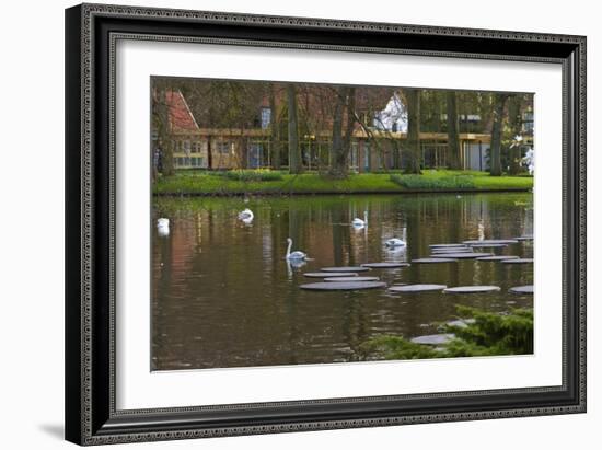 Swans on a Lake in Keukenhof Gardens-Anna Miller-Framed Photographic Print