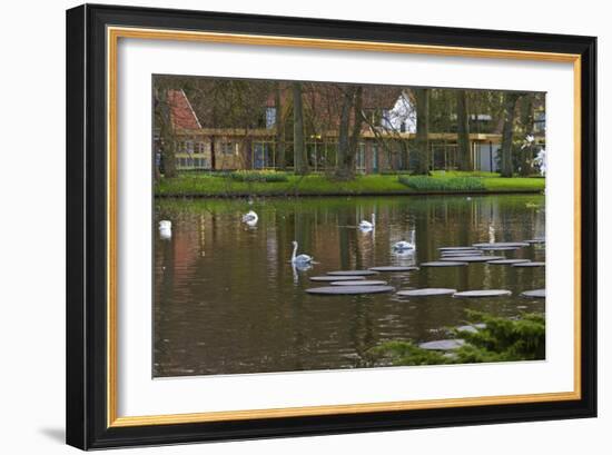 Swans on a Lake in Keukenhof Gardens-Anna Miller-Framed Photographic Print