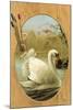 Swans on Palette-null-Mounted Art Print