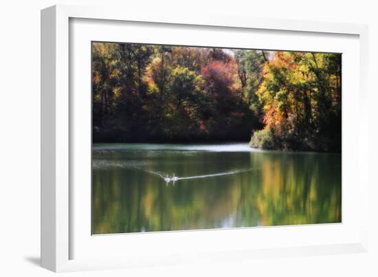 Swans on the Lake I-Alan Hausenflock-Framed Photographic Print