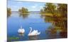 Swans on the Lake-Slava-Mounted Art Print