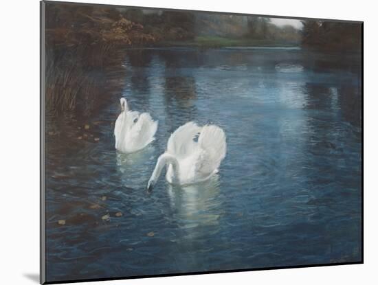 Swans on the River, C.1880-Fritz Thaulow-Mounted Giclee Print