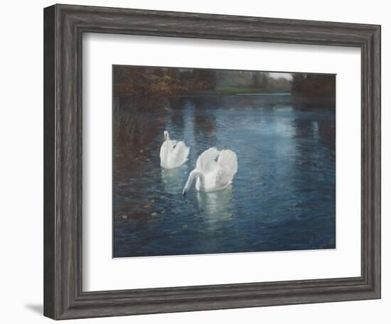 Swans on the River, C.1880-Fritz Thaulow-Framed Giclee Print