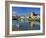 Swans on the River Frome, Wareham, Dorset, England, UK-Ruth Tomlinson-Framed Photographic Print