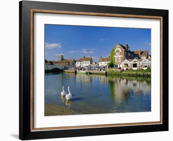 Swans on the River Frome, Wareham, Dorset, England, UK-Ruth Tomlinson-Framed Photographic Print