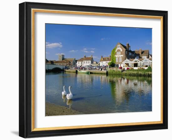 Swans on the River Frome, Wareham, Dorset, England, UK-Ruth Tomlinson-Framed Photographic Print