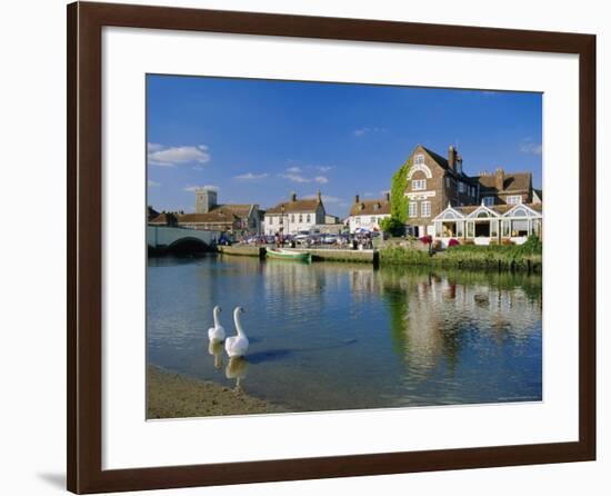 Swans on the River Frome, Wareham, Dorset, England, UK-Ruth Tomlinson-Framed Photographic Print