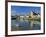 Swans on the River Frome, Wareham, Dorset, England, UK-Ruth Tomlinson-Framed Photographic Print