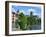 Swans on the River Severn and Cathedral, Worcester, Worcestershire, England, United Kingdom, Europe-David Hughes-Framed Photographic Print