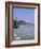 Swans on the River Thames with Suspension Bridge in the Background, England, UK-Charles Bowman-Framed Photographic Print